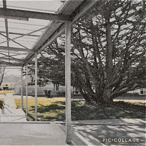 laot_alicia_et_colliou_camille