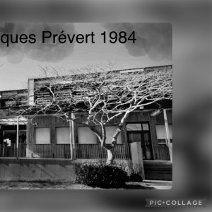 marin_crabbe_gac_et_ulysse_stephany