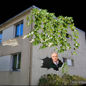 louane_coignet_louis_le_coz (1)