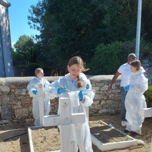 Carré bmilitaire (11)