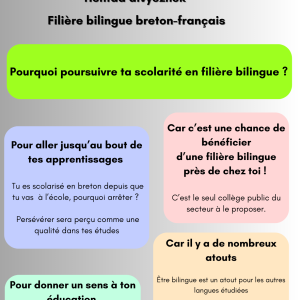 Flyer 3
